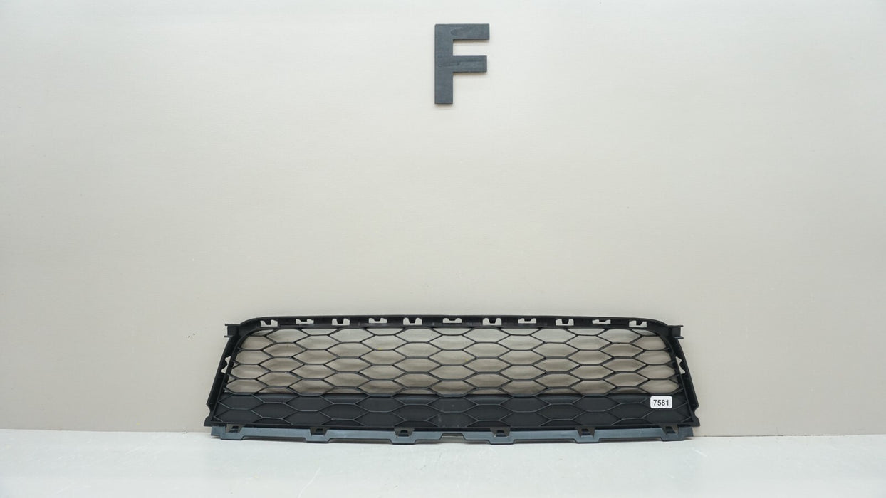 2016-2017 FORD EXPLORER SUV FRONT LOWER BUMPER GRILLE GRILL OEM FB53-17K945-ACW