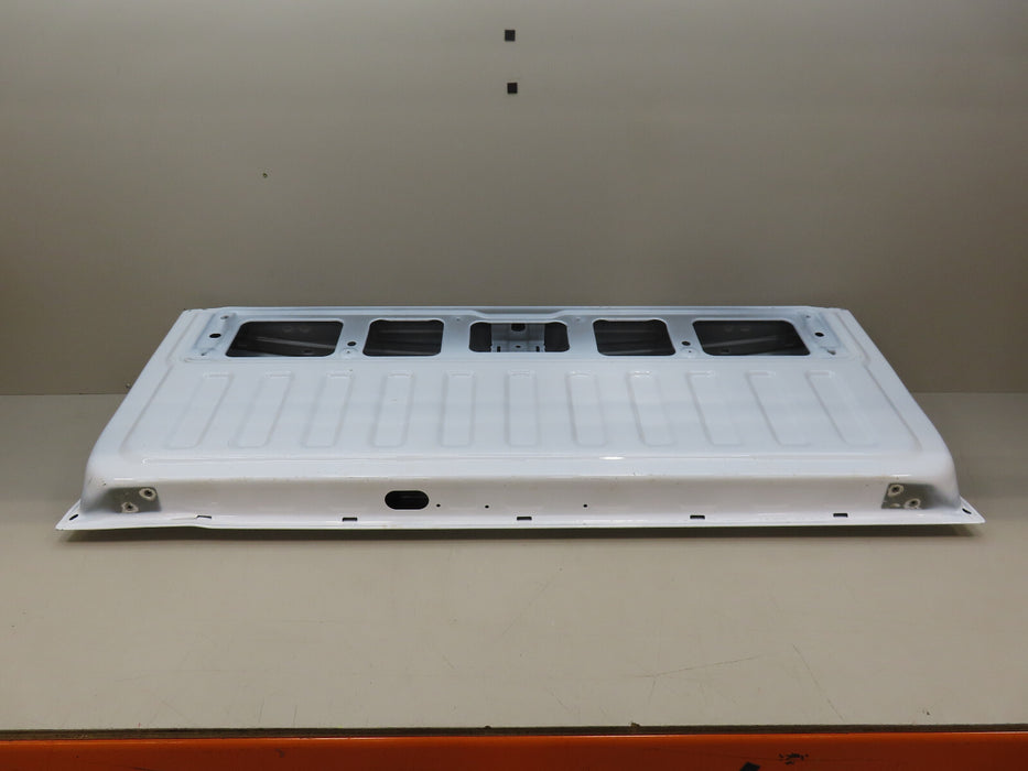 2019-2021 DODGE RAM 1500  4X4 PICKUP REAR TAILGATE TRUNK LID SHELL OEM