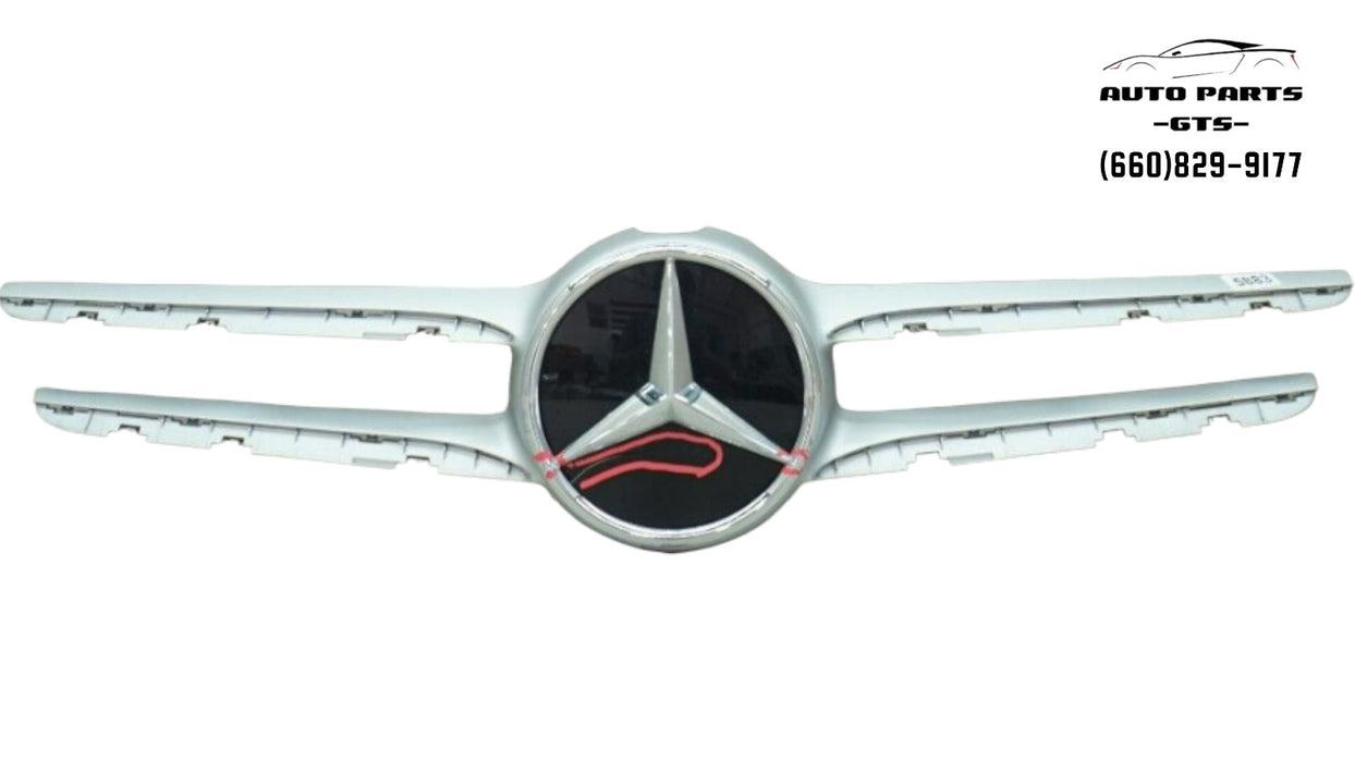 2019-2020 MERCEDES C300 W205 SEDAN FRONT BUMPER GRILLE MOLDING OEM A2058880900