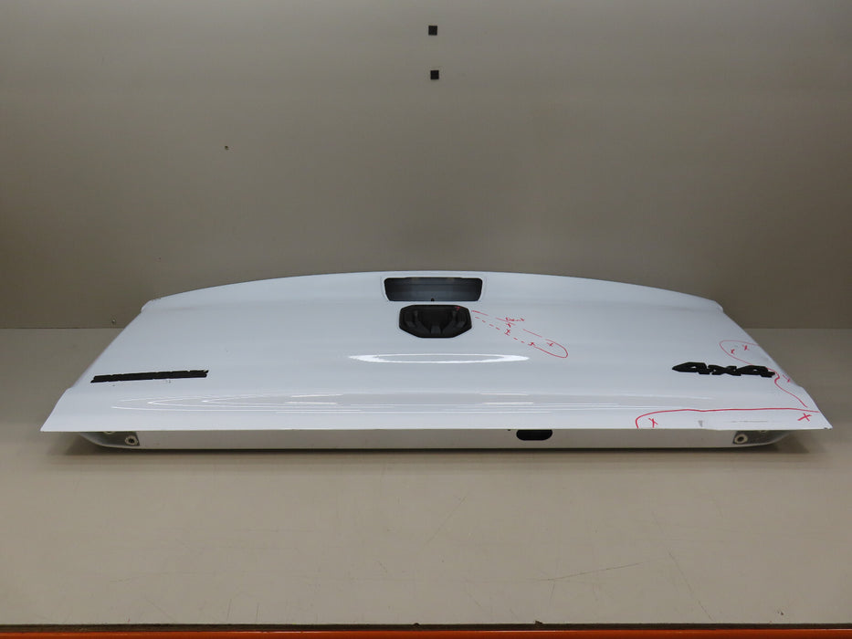 2019-2021 DODGE RAM 1500  4X4 PICKUP REAR TAILGATE TRUNK LID SHELL OEM