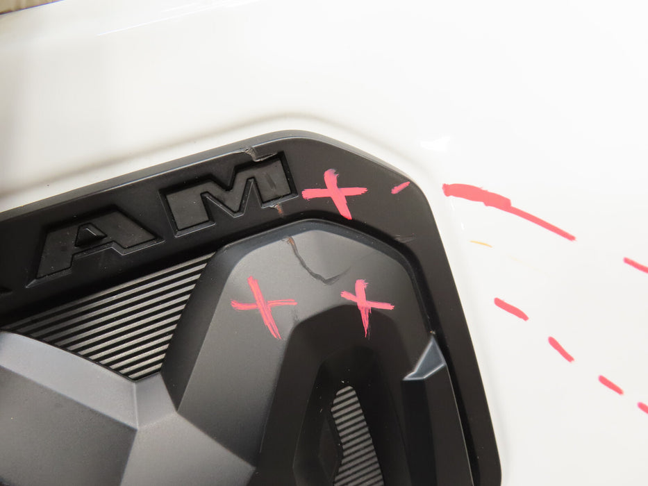 2019-2021 DODGE RAM 1500  4X4 PICKUP REAR TAILGATE TRUNK LID SHELL OEM