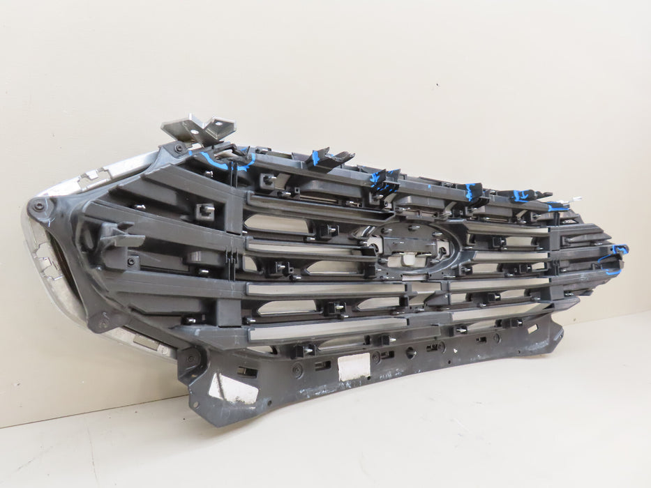 2019-2022 FORD EDGE FRONT RADIATOR GRILL GRILLE OEM LB5B-S41602