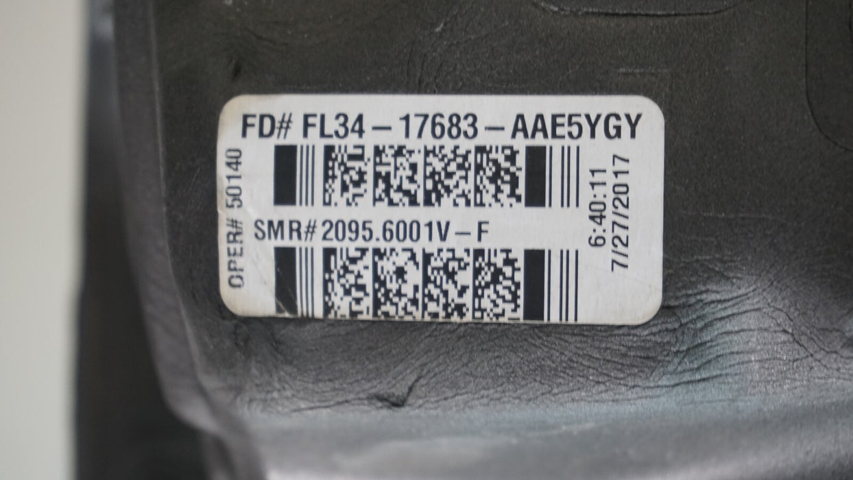 2015-2018 FORD F-150 F150 FRONT LEFT DRIVERS SIDE MIRROR OEM FL34-17683-AAE5YGY