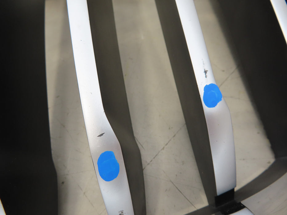 2019-2021 BMW X3 X4 FRONT LEFT SIDE RADIATOR GRILL GRILLE OEM