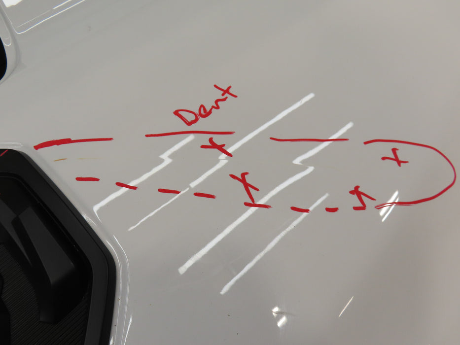 2019-2021 DODGE RAM 1500  4X4 PICKUP REAR TAILGATE TRUNK LID SHELL OEM