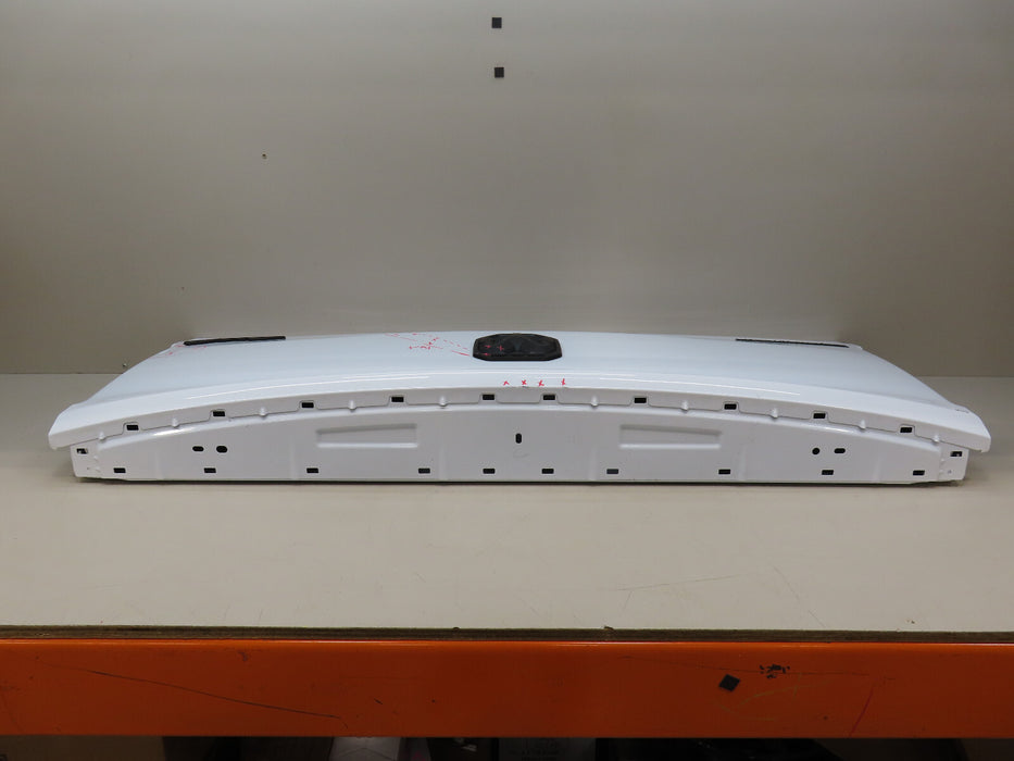 2019-2021 DODGE RAM 1500  4X4 PICKUP REAR TAILGATE TRUNK LID SHELL OEM