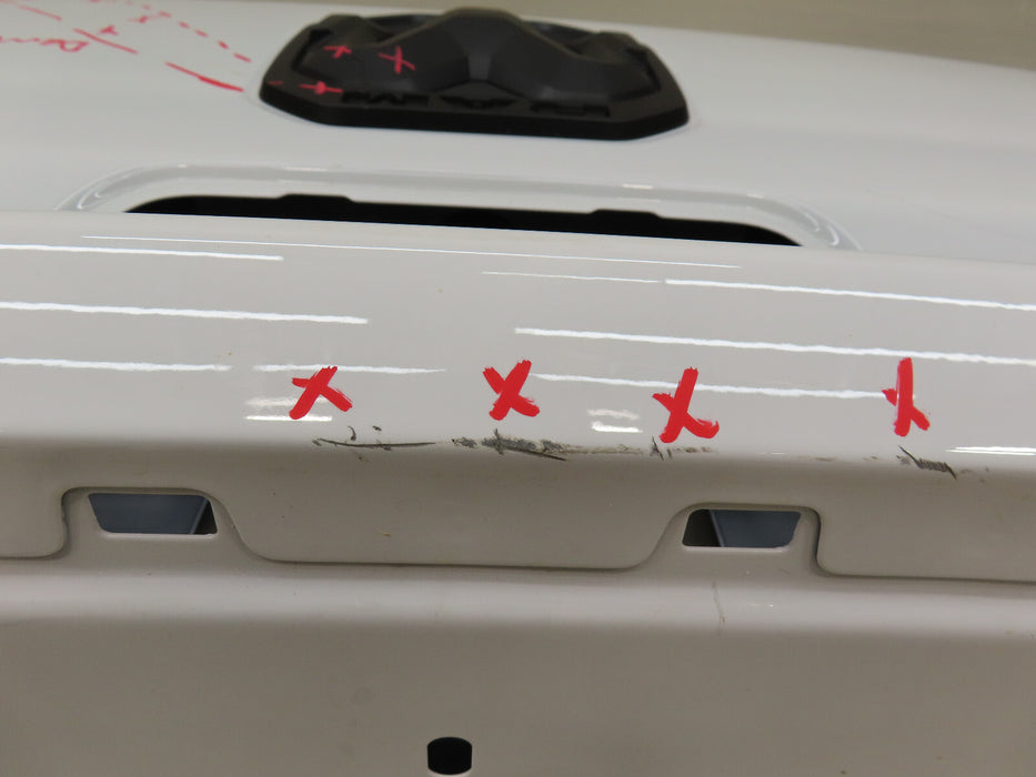 2019-2021 DODGE RAM 1500  4X4 PICKUP REAR TAILGATE TRUNK LID SHELL OEM