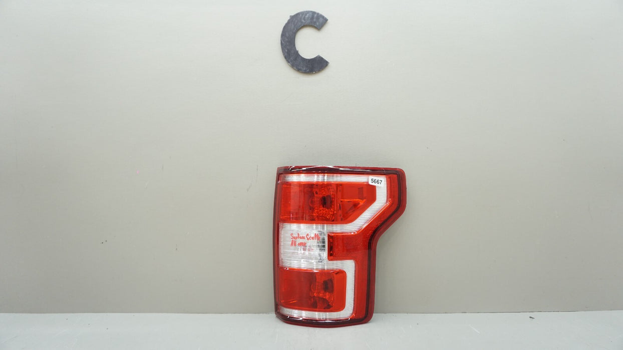 2018-2020 FORD F150 F-150 REAR RIGHT PASSENGER SIDE TAIL LIGHT OEM 18 19 20