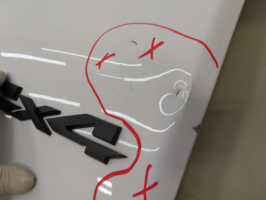 2019-2021 DODGE RAM 1500  4X4 PICKUP REAR TAILGATE TRUNK LID SHELL OEM