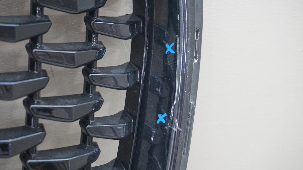 2015-2021 CHRYSLER 300 FRONT RADIATOR GRILLE 6DF46TRMAB OEM