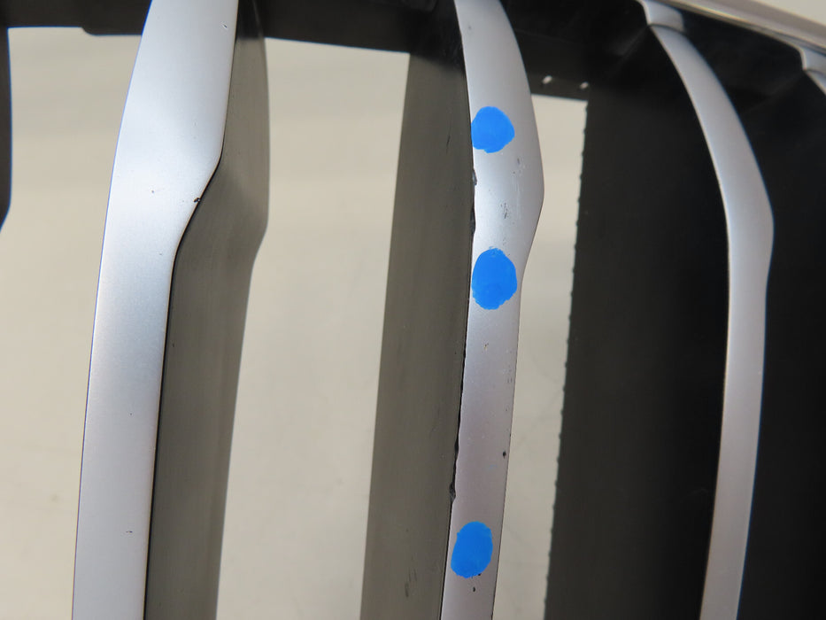 2019-2021 BMW X3 X4 FRONT LEFT SIDE RADIATOR GRILL GRILLE OEM