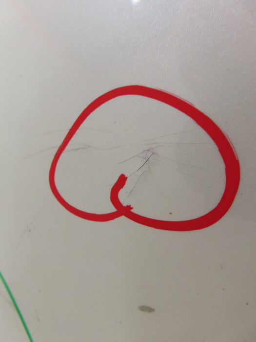 2019-2021 TOYOTA AVALON REAR BUMPER COVER OEM