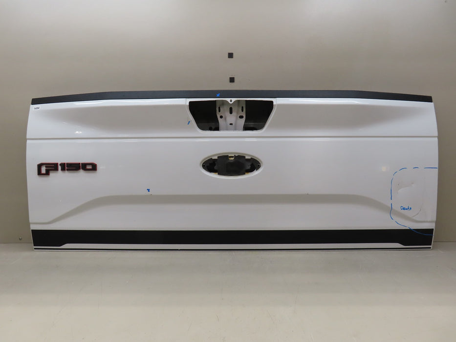 2015-2017 FORD F150 150 TAILGATE PANEL OEM