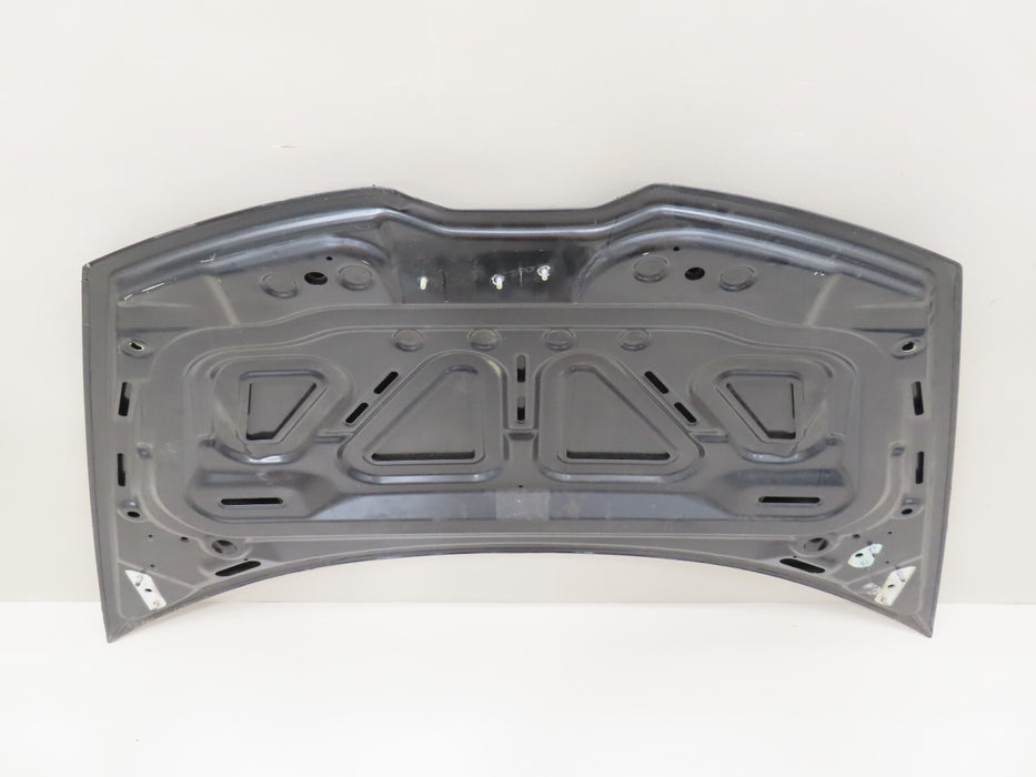 2015-2023 LAMBORGHINI HURACAN FRONT HOOD BONNET PANEL OEM 4T0823021C
