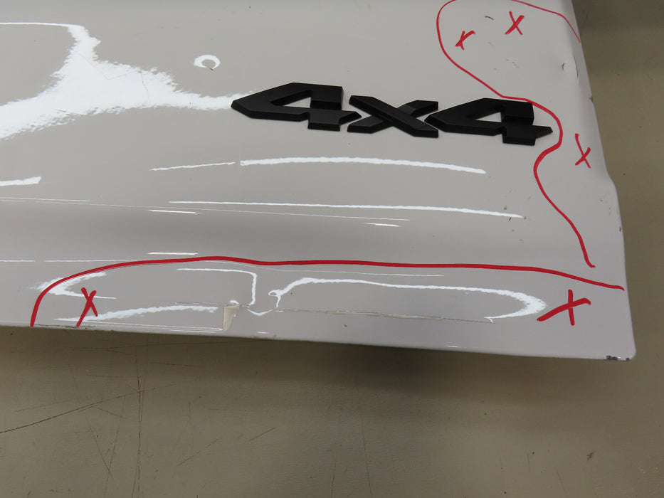 2019-2021 DODGE RAM 1500  4X4 PICKUP REAR TAILGATE TRUNK LID SHELL OEM