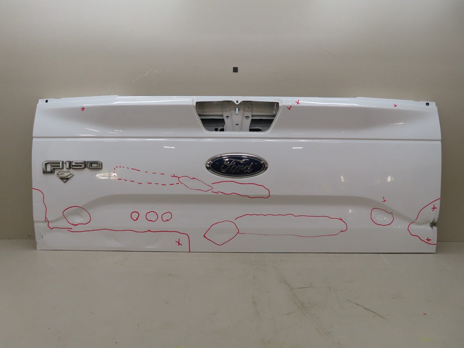 2015-2017 FORD F150 150 TAILGATE PANEL OEM