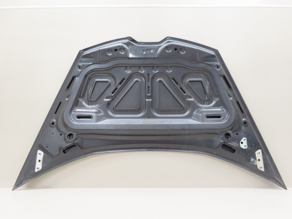 2015-2023 LAMBORGHINI HURACAN FRONT HOOD BONNET PANEL OEM 4T0823021C