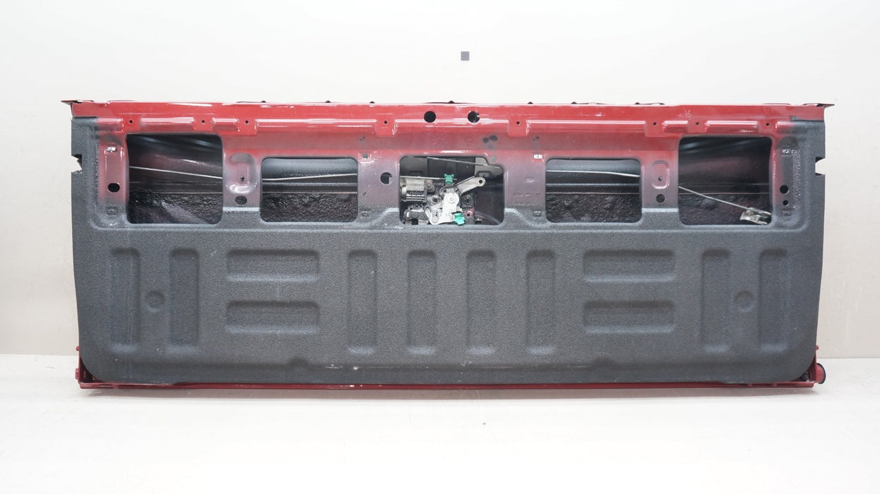 2015-2017 FORD F-150 F150 REAR BED TAILGATE PANEL SHELL OEM