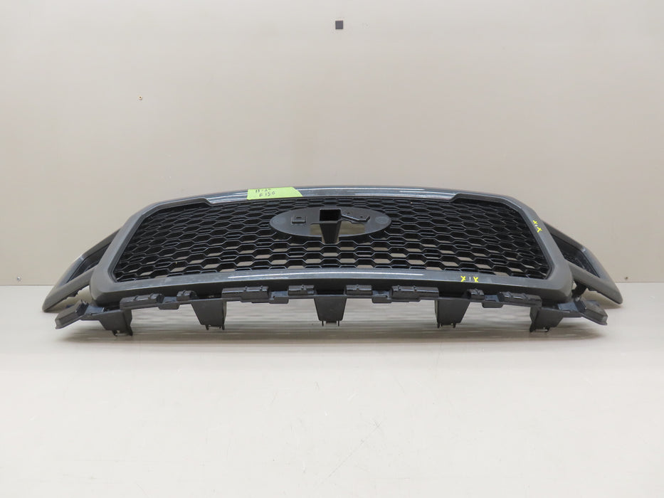 2018-2020 FORD F-150 F150 FRONT RADIATOR GRILLE GRILL OEM