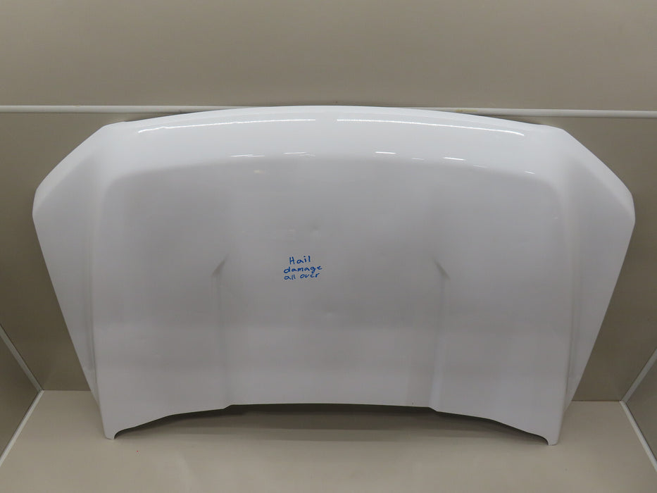 2021-2023 FORD F150 F-150 FRONT HOOD BONNET OEM