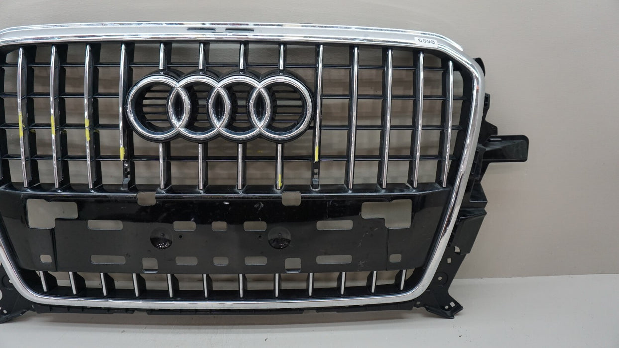 2013-2017 AUDI Q5 RSQ5 FRONT CENTER RADIATOR GRILLE OEM 86391AA000