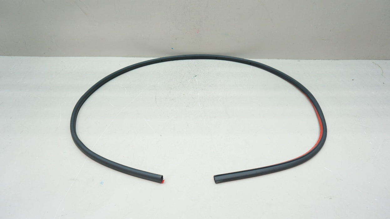 2018-2022 LAMBORGHINI URUS REAR LEFT DOOR LOWER WEATHER SEAL OEM 4ML839911