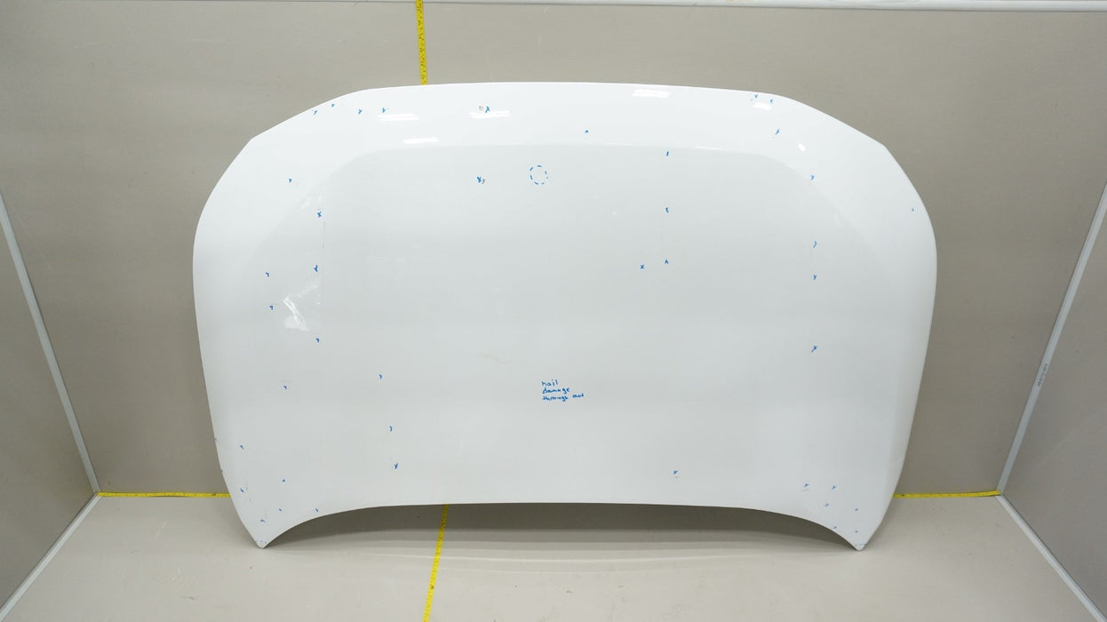 2019-2024 TOYOTA RAV4 HOOD BONNET PANEL SHELL OEM