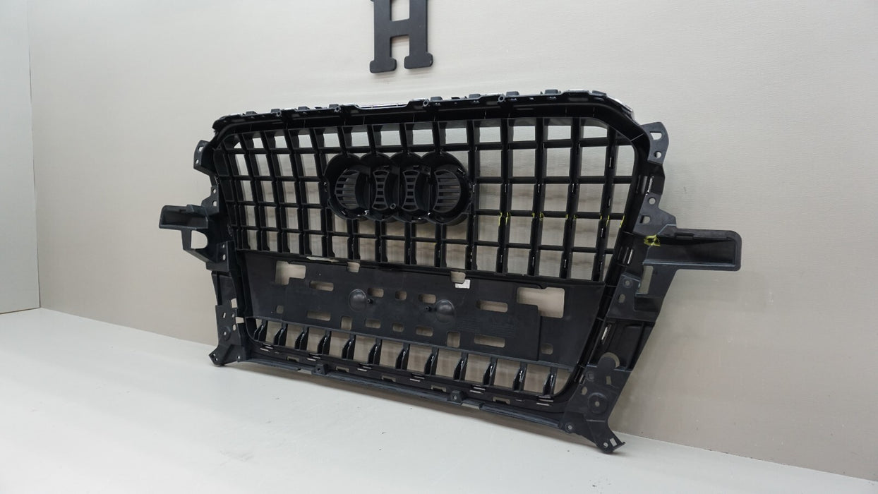 2013-2017 AUDI Q5 RSQ5 FRONT CENTER RADIATOR GRILLE OEM 86391AA000
