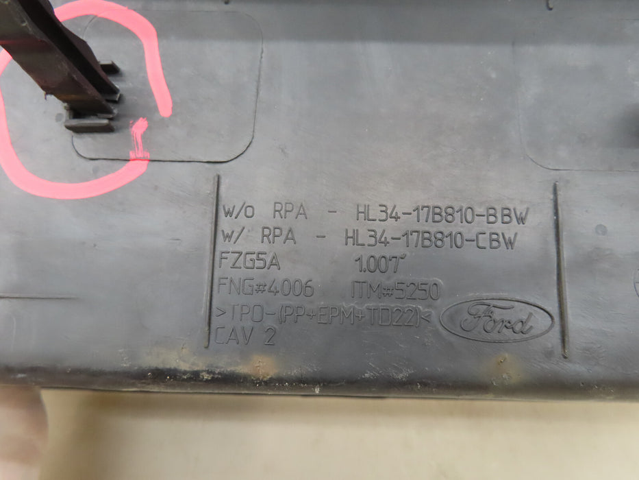 2015-2018 FORD F-150 REAR BUMPER STEP PAD COVER OEM HL34-17B810-CBW