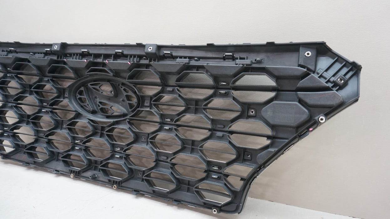 2019-2020 HYUNDAI SANTA FE FRONT RADIATOR GRILL GRILLE OEM 86366-S2100