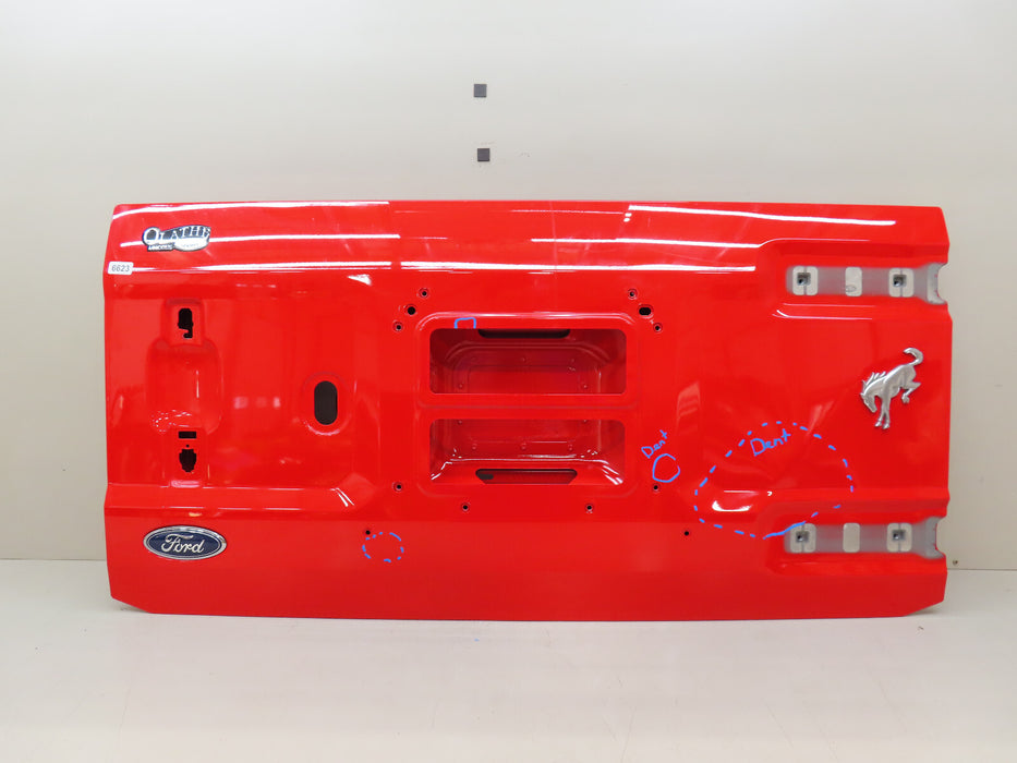 2021-2023 FORD BRONCO REAR BACK DOOR TAILGATE SHELL OEM