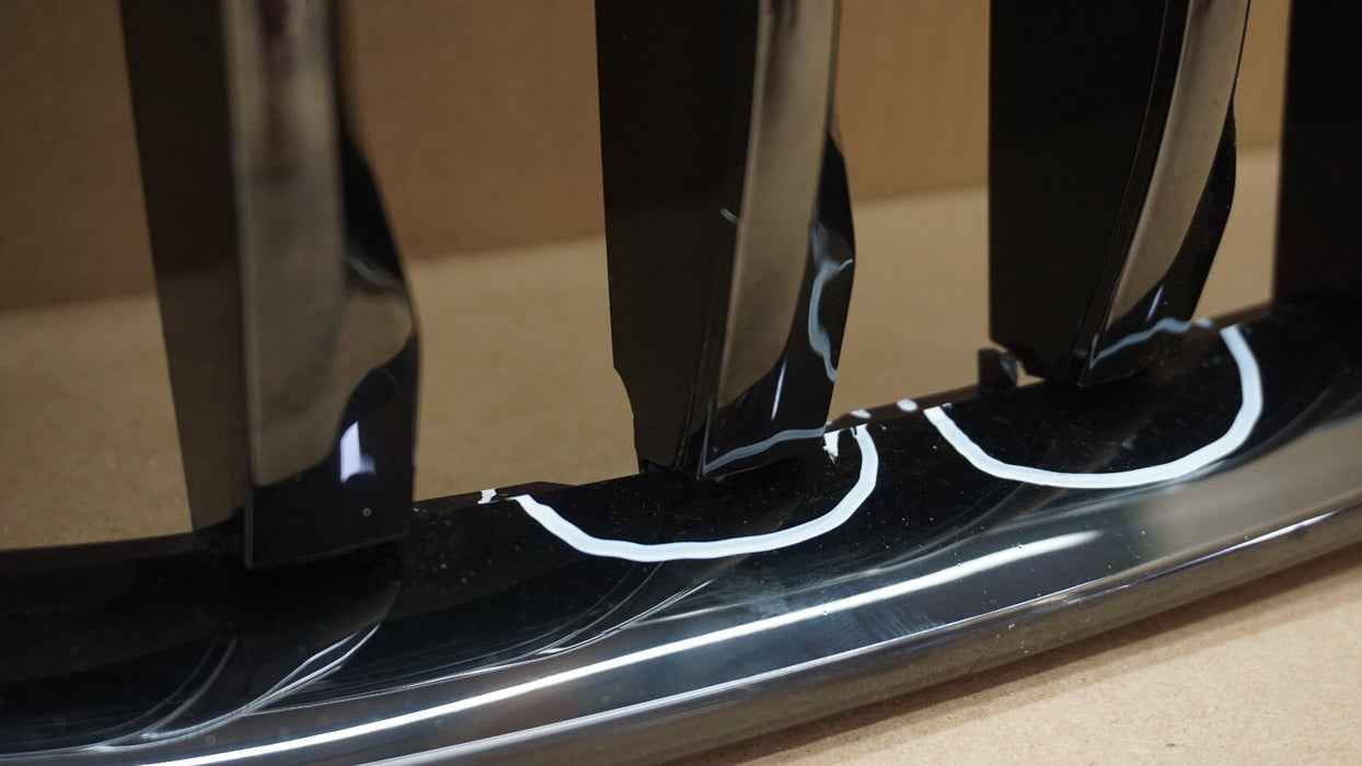 2019-2022 BMW X7 GO7 FRONT BUMPER RADIATOR KIDNEY GRILLE OEM