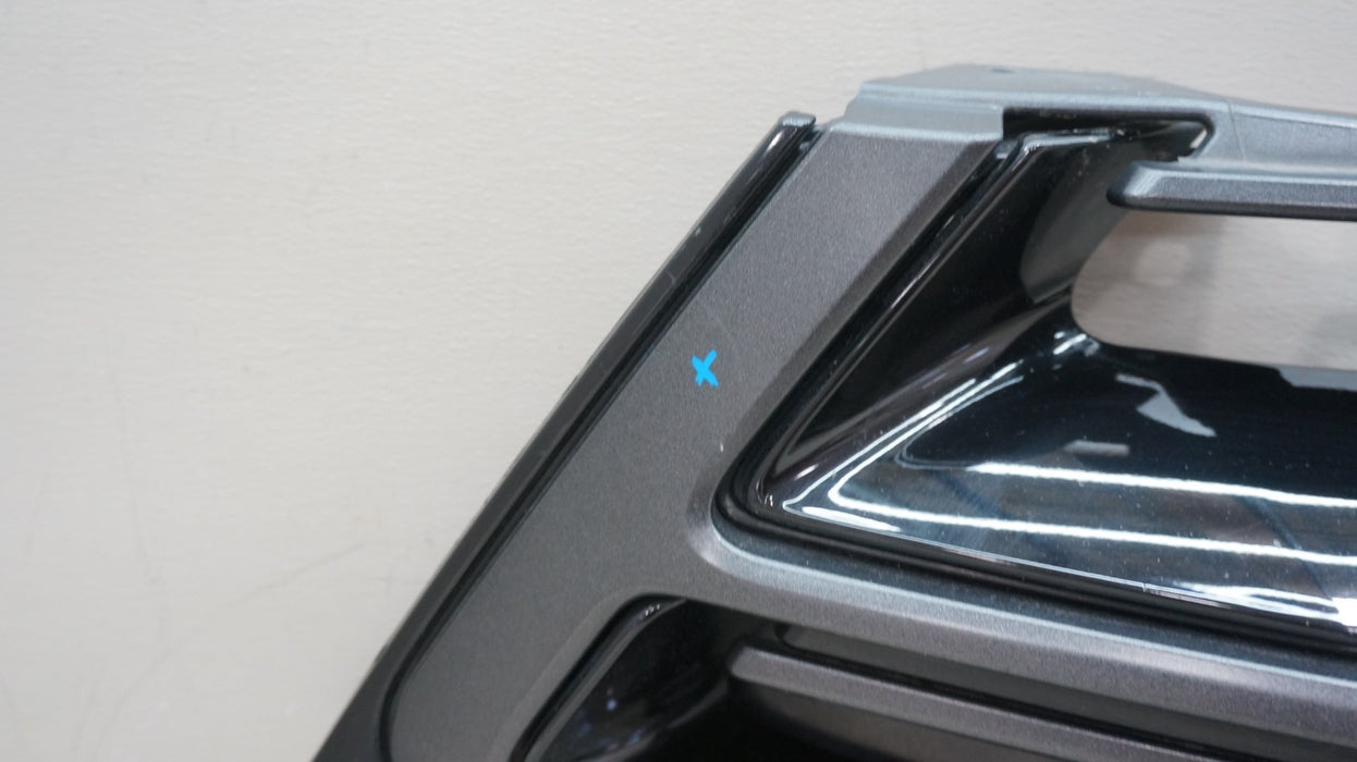 2015-2018 FORD EDGE FRONT BUMPER RADIATOR GRILLE OEM FT4B-8200