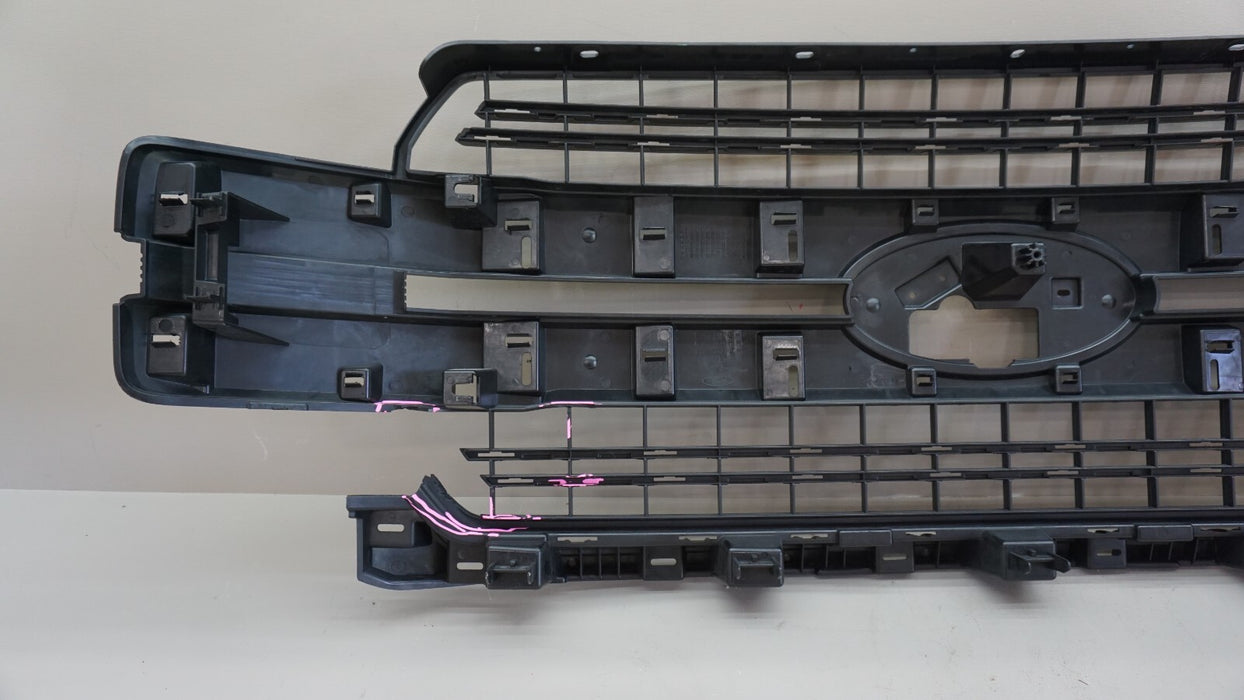 2018-2020 FORD F-150 FRONT CENTER BUMPER RADIATOR GRILLE GRILL OEM JL34-8200
