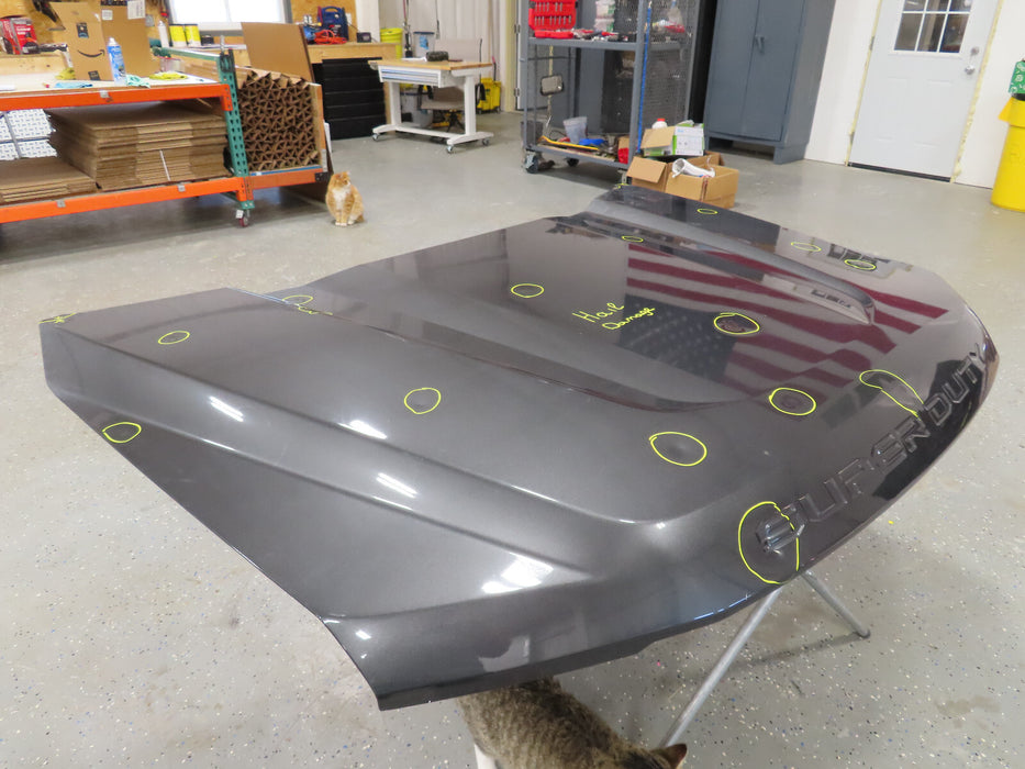 2017-2022 FORD F-250 F-350 F250 F350 SUPER DUTY HOOD BONNET PANEL OEM
