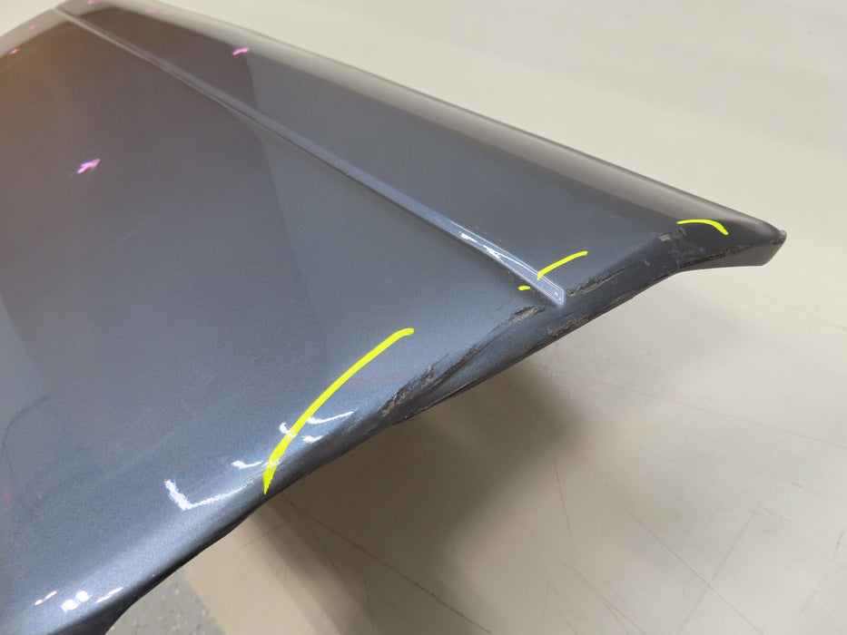 2003-2009 LEXUS GX470 FRONT RIGHT DOOR TRIM MOLDING COVER OEM  75731-60170