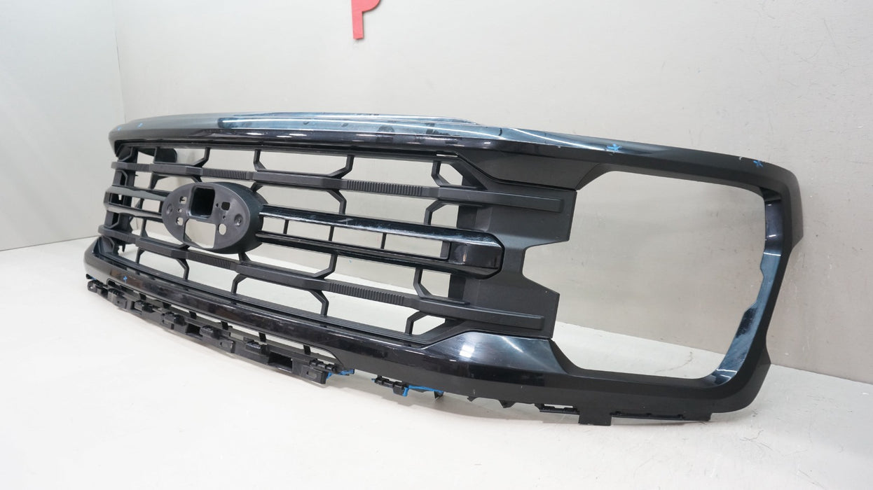 2024-2025 FORD F-150 XLT FRONT BUMPER RADIATOR GRILLE OEM RL34-8200-BAW