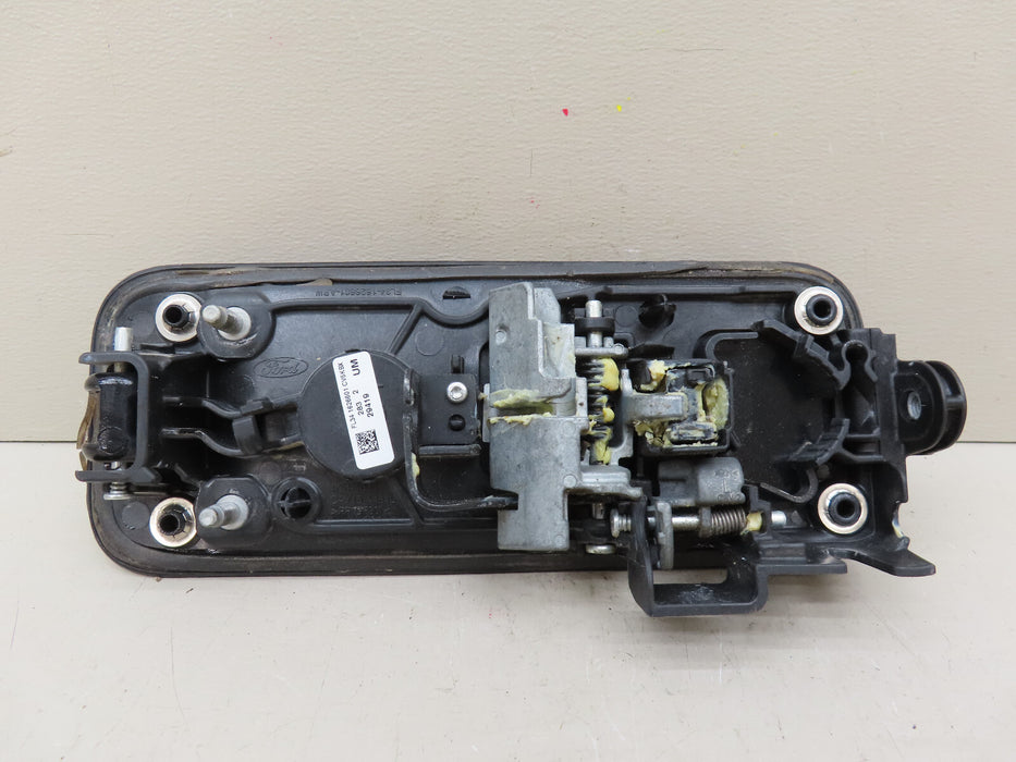 2015-2020 FORD F150 F-150 REAR LEFT DRIVER SIDE DOOR HANDLE OEM