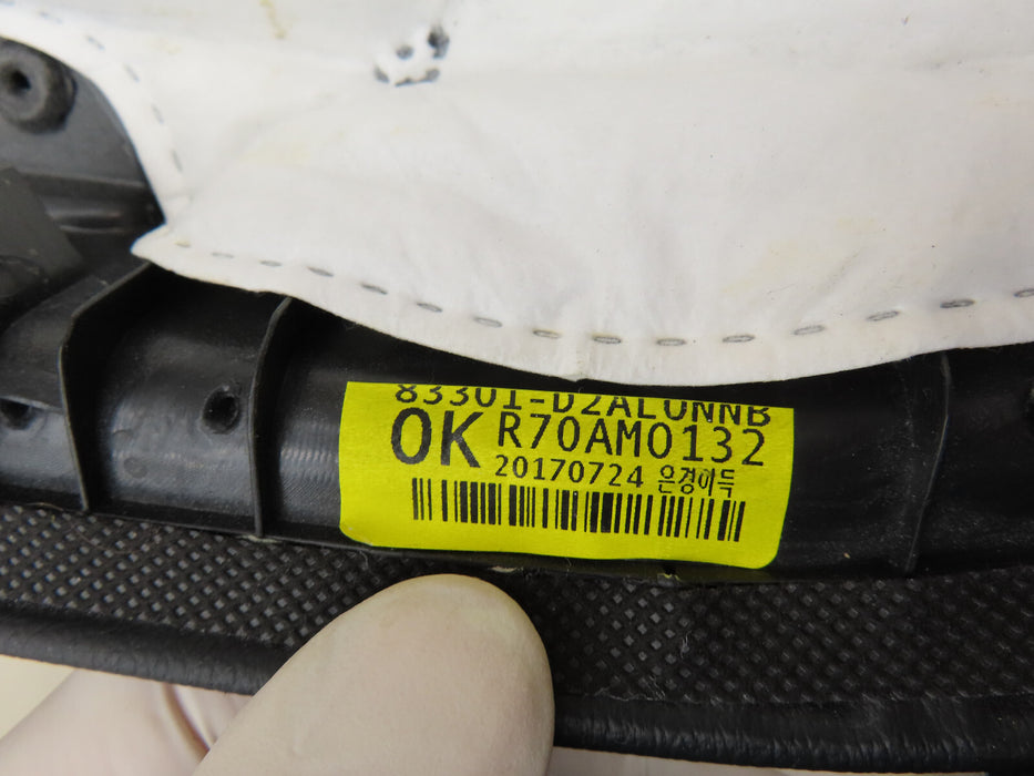 2017-2019 GENESIS G90 REAR LEFT DRIVER SIDE INTERIOR DOOR PANEL OEM