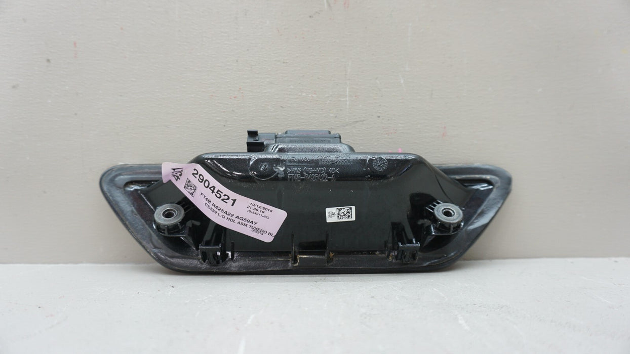 2015-2018 FORD EDGE REAR TAILGATE HANDLE TRIM/MOLDING BLACK OEM