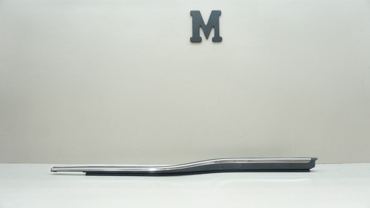 2017-2019 FORD F-150 F-250 F-350 LEFT DRIVER SIDE DOOR WINDOW WEATHERSTRIP OEM