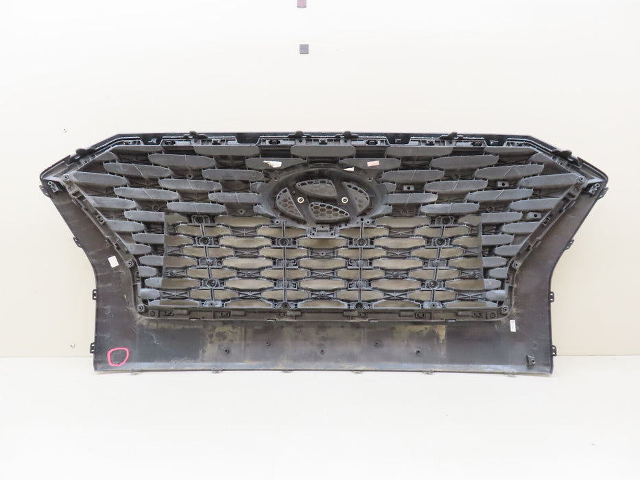 2020-2022 HYUNDAI PALISADE FRONT RADIATOR GRILL GRILLE OEM 86352 S8020
