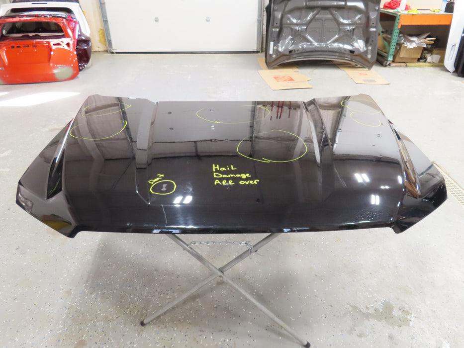 2015 2016 2017 2018 2019 2020 FORD F-150 F150 HOOD BONNET PANEL OEM
