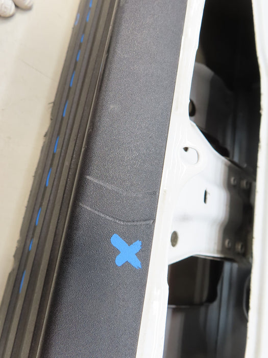 2015-2017 FORD F150 150 TAILGATE PANEL OEM