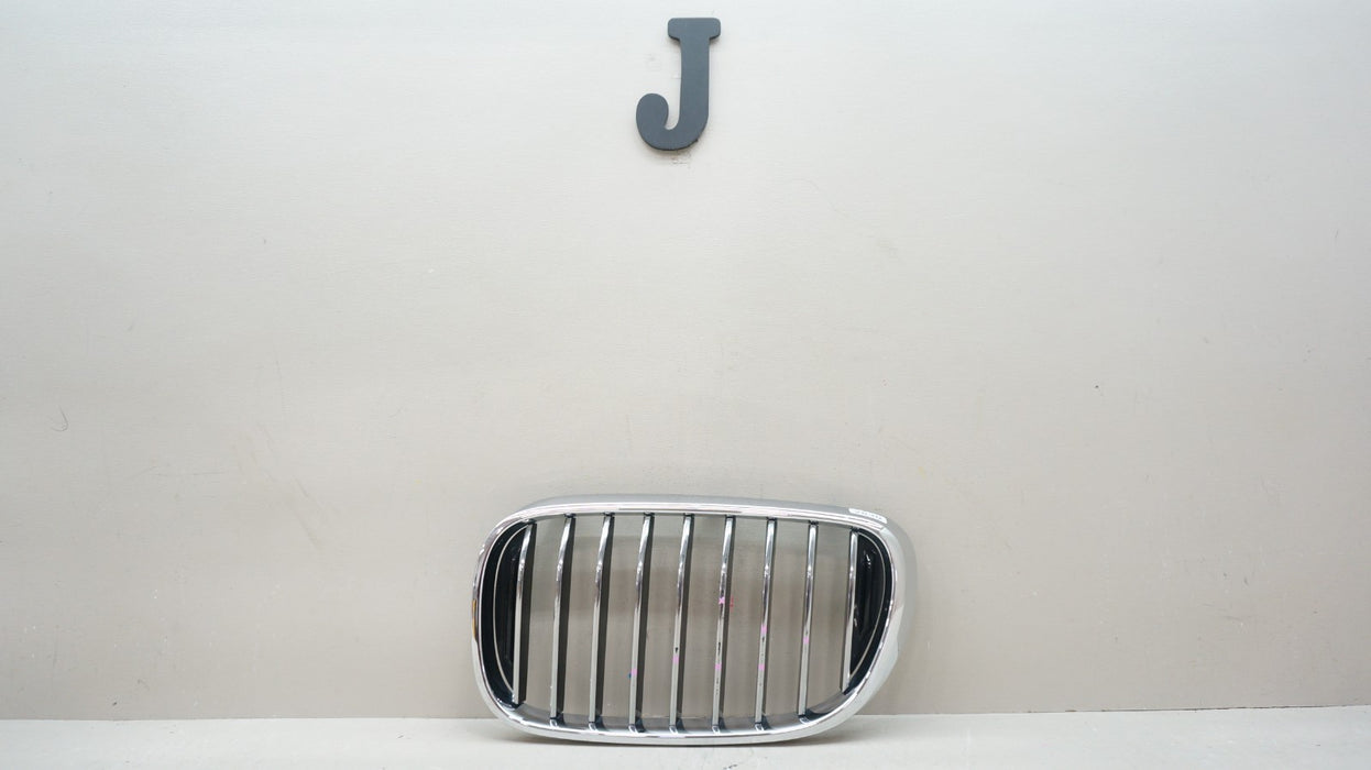 2016-2019 BMW 7 SERIES G11 G12 FRONT LEFT DRIVER SIDE RADIATOR KINDEY GRILLE OEM