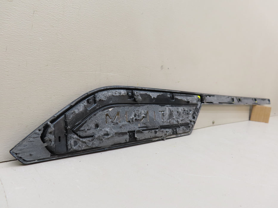 2022-2023 TOYOTA TUNDRA PLATINUM FRONT RIGHT PASSENGER SIDE DOOR MOLDING OEM