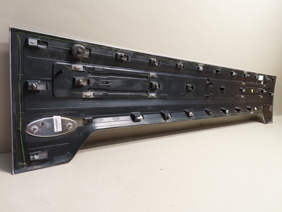2018 2019 2020 FORD F-150 PLATINUM TAILGATE TRIM MOLDING INSERT PANEL GATE oem