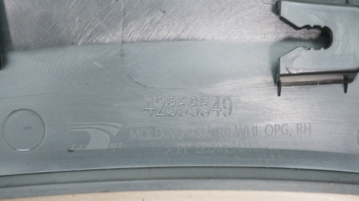 2024-2025 CHEVROLET TRAX REAR RIGHT SIDE FENDER FLARE TRIM OEM 42856548