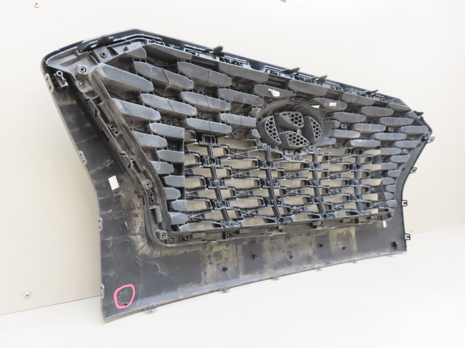 2020-2022 HYUNDAI PALISADE FRONT RADIATOR GRILL GRILLE OEM 86352 S8020