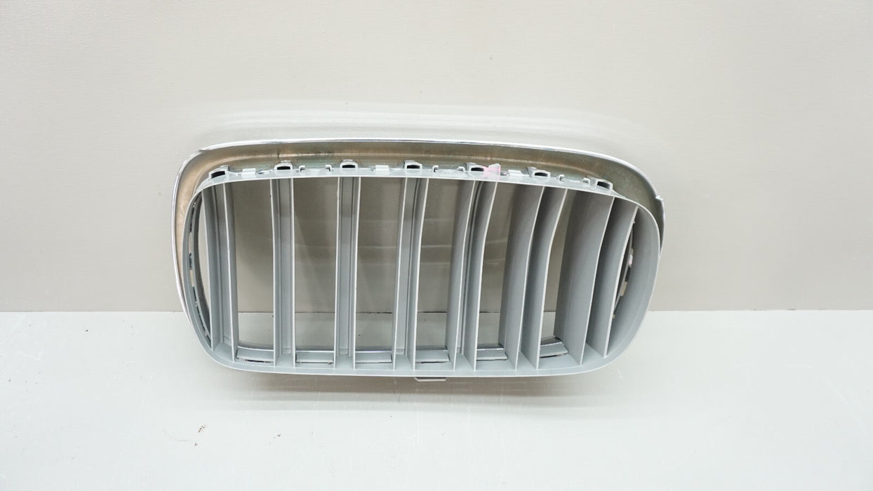 2014-2018 BMW X5 X6 LEFT DRIVER SIDE KIDNEY GRILLE GRILL 5111MI-7309775-02 OEM